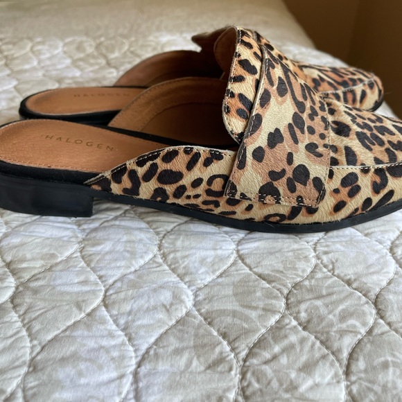 Leopard slides - Picture 4 of 4